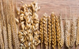 Каква е разликата между ечемик, пшеница и други зърнени храни