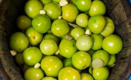 How to Make Barrel Green Tomatoes at Home: Best Recipes and Cooking Tips