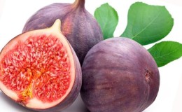 Useful properties of figs for women and the rules for its use