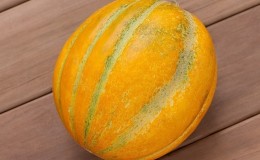 Proč je meloun Ethiopka dobrý a proč se vyplatí pěstovat sami