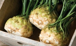 Proč je kořenový celer dobrý, jak ho pěstovat a správně používat