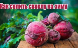 How to salt beets quickly and tasty: an express recipe for guests and ways to preserve a vegetable for the winter