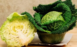 Benefits and harms, features of the use of savoy cabbage