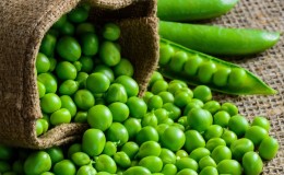 How to save green peas for the winter: we protect the crop from damage in three different ways
