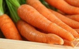Prazo de validade das cenouras na geladeira e como fazer isso da maneira certa
