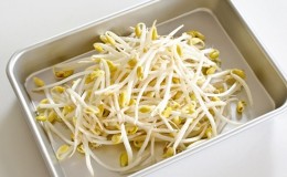 Why bean sprouts are useful, how to sprout them correctly and cook them deliciously