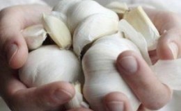 Mga lihim ng mabisang Home and Commercial Garlic Growing bilang isang Negosyo