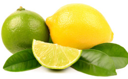 Wat is limoen en hoe verschilt het van citroen