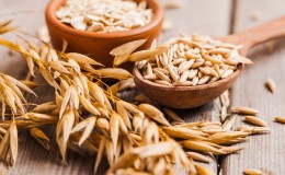 Sự khác biệt cơ bản giữa yến mạch và lúa mạch