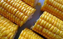 Is it possible to eat raw corn: the benefits and harms of fresh vegetables, possible contraindications