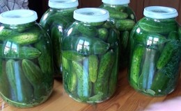 Recepten voor het maken van de lekkerste komkommers zonder azijn voor de winter
