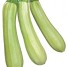 Zucchini odroda 