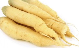 Variétés de carottes blanches et leurs propriétés bénéfiques pour le corps humain