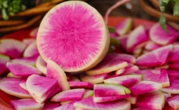 Unusual-looking and pleasant-tasting watermelon radish: what is good and how to grow