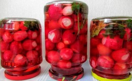 Top 8 best pickled radish recipes for the winter