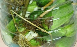 5 litrelik plastik şişede salatalık turşusu nasıl yapılır: hazırlık, hazırlama ve saklama