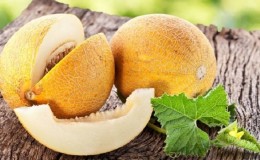 Ist es möglich, mit Gastritis in verschiedenen Formen zu melonen: Regeln und Normen der Verwendung