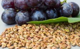 Os benefícios e malefícios da semente de uva para o corpo