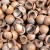 Łupiny orzechów makadamia - korzystne właściwości i zastosowanie