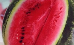 Vale a pena comprar sementes de melancia 