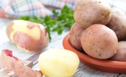 Hollandalı yetiştiricilerden orta erkenci sofralık patates çeşidi 