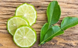 ¿Por qué son útiles las hojas de lima kaffir y cómo usarlas en la cocina y la aromaterapia?