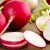 The benefits and harms of radishes for the human body