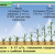 What is leaf feeding of wheat and what fertilizers can be used for these purposes