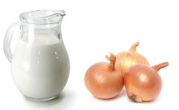 Auttaako maito sipuleilla yskää ja miten sitä käytetään oikein?