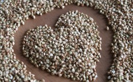 Perché il grano saraceno è così amato in Russia e perché gli stranieri non lo mangiano