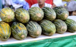 Mabango at masarap na Khasanka melon: kung paano pumili at lumaki sa iyong site