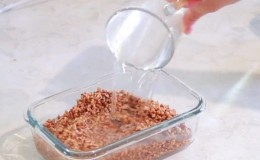 Propietats útils i contingut en calories de blat sarraí al vapor amb aigua bullent