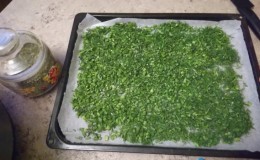 Adım adım öneriler: kışın yeşil soğan evde nasıl kurutulur