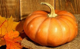 Low-calorie, but at the same time sweet vegetable with a pleasant aroma - Honey pumpkin
