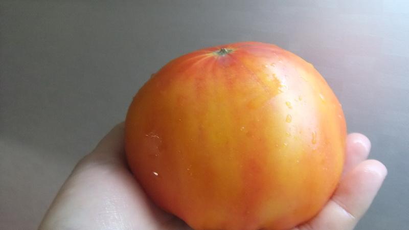 Obľúbené paradajky medzi paradajkami: Tomato Bull's Heart, charakteristika a popis odrody