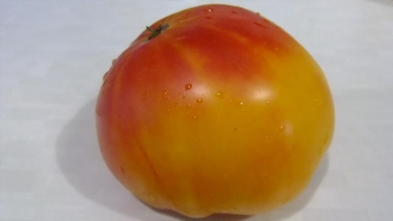 Un favori des agriculteurs parmi les tomates: Tomato Bull's Heart, caractéristiques et description de la variété