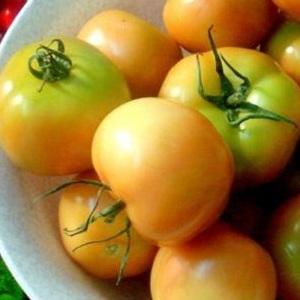 Kış için kahverengi domates hasadı için en iyi tarifler
