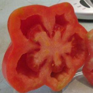 Neden bir domates yetiştirmeye değer Etual: çeşitliliğin faydaları ve zengin bir hasat elde etmek için ipuçları