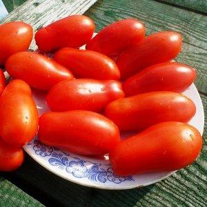 Une excellente variété pour la conservation et divers plats - Tomate Ladies Fingers: nous la cultivons nous-mêmes
