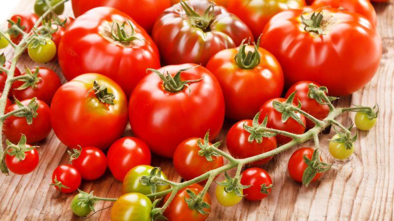 Pourquoi les tomates sont nocives et utiles pour les humains