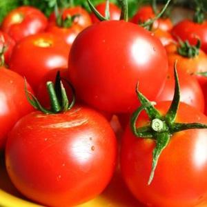 Top 16 délicieuses préparations de tomates: tomates en gélatine pour l'hiver - recettes et instructions de cuisson