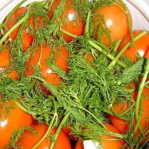Top 16 délicieuses préparations de tomates: tomates en gélatine pour l'hiver - recettes et instructions de cuisson