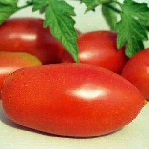 Tomato Lel, die aan populariteit wint onder zomerbewoners