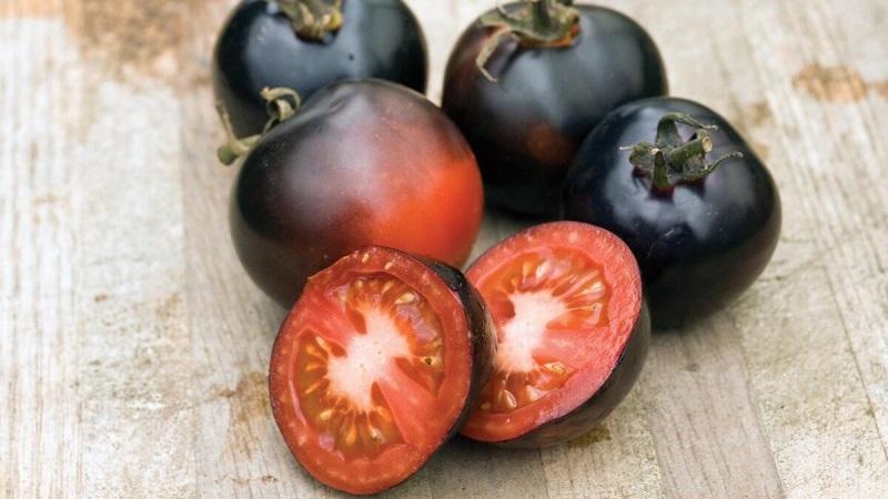 Technologie de culture de la tomate rose indigo pour les débutants et les agriculteurs expérimentés
