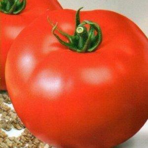 Isang promising bago sa mga kamatis na varieties - ang King of Kings tomato, na mabilis na nakakuha ng katanyagan