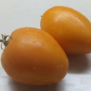 Làm thế nào để có được cà chua chất lượng Olesya