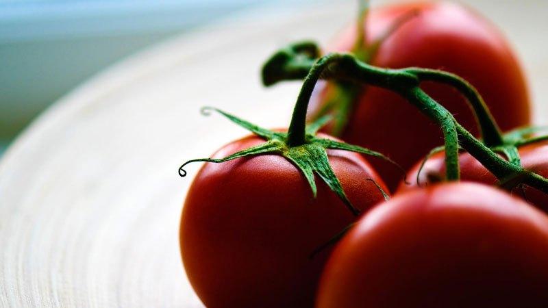 Como cobrir corretamente os tomates em uma estufa com grama cortada e outros materiais