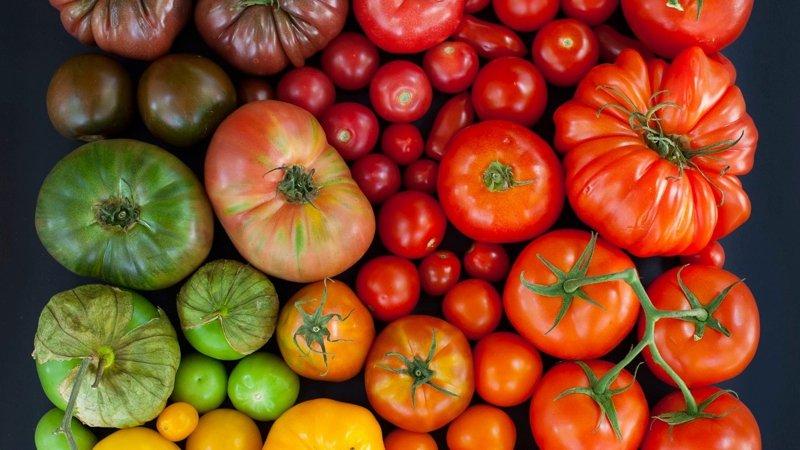 Cách nấu cà chua một nắng tại nhà: các cách khác nhau và công thức nấu ăn ngon nhất