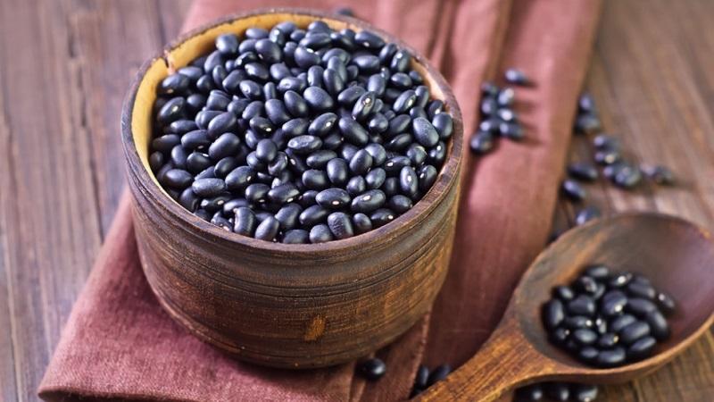 Siyah fasulye yemek pişirme, kozmetik ve geleneksel tıpta nasıl kullanılır: vücut için yararları ve zararları