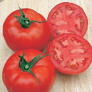 Johtava varhaisten kypsien tomaattien joukossa, viljelijöiden suosikki: Katyusha-tomaatti, lajikkeen ominaisuudet ja kuvaus
